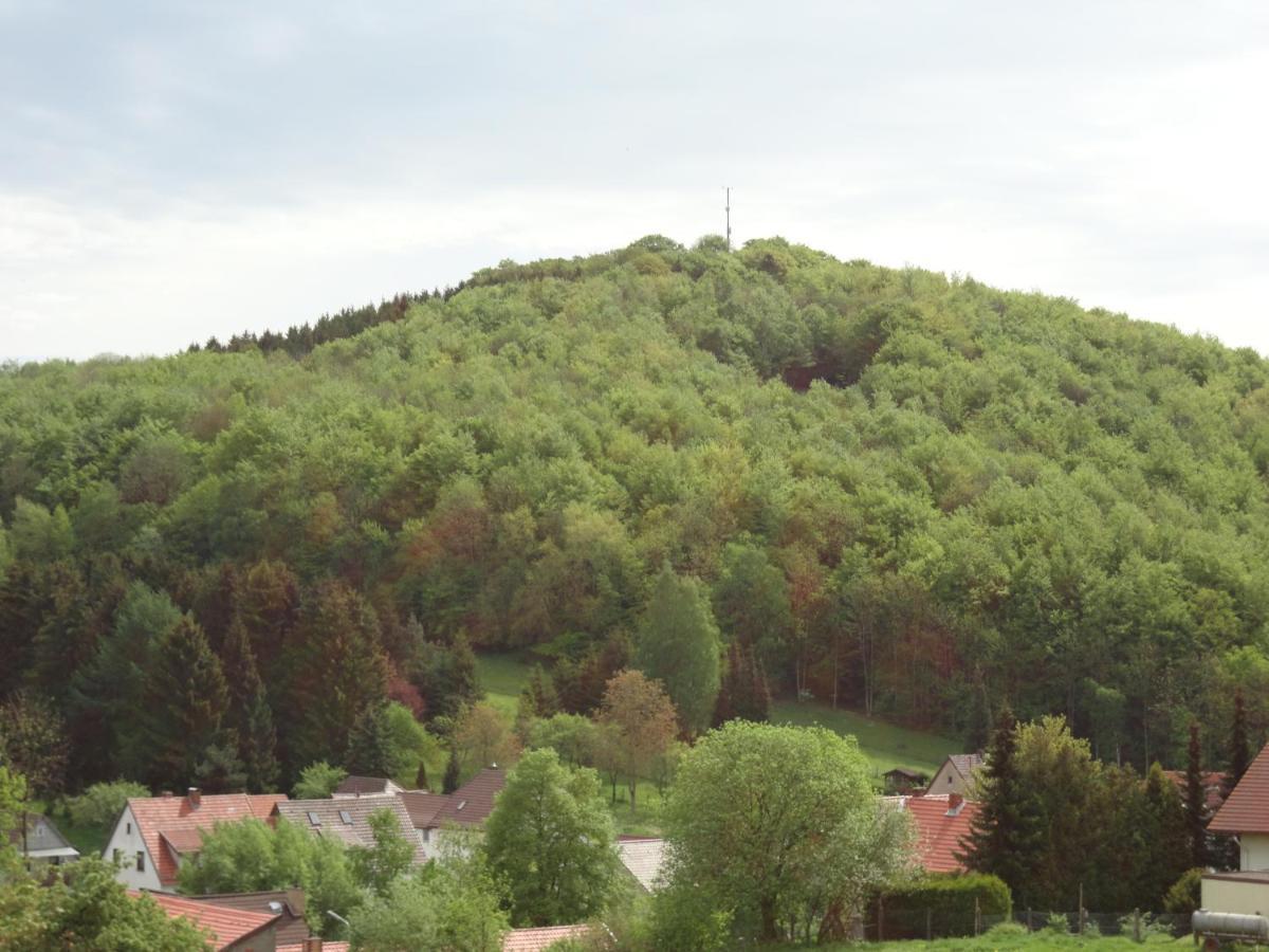 Der Fuchsbau - Fewo Lepetit - Im Sonnigen Harz - Hunde Willkommen - 100M Bis Zum Wald - Free Wlan Lägenhet Bad Sachsa Exteriör bild