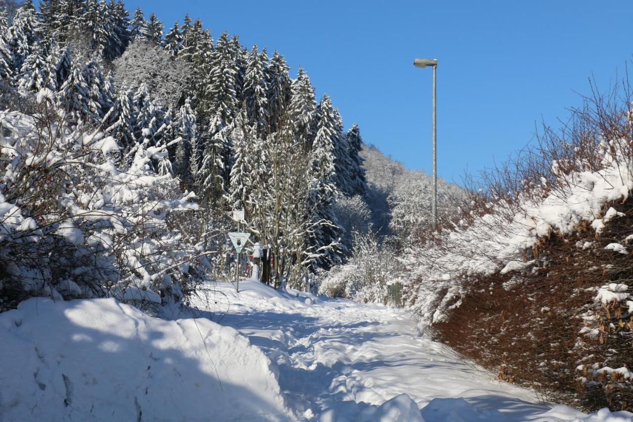 Der Fuchsbau - Fewo Lepetit - Im Sonnigen Harz - Hunde Willkommen - 100M Bis Zum Wald - Free Wlan Lägenhet Bad Sachsa Exteriör bild